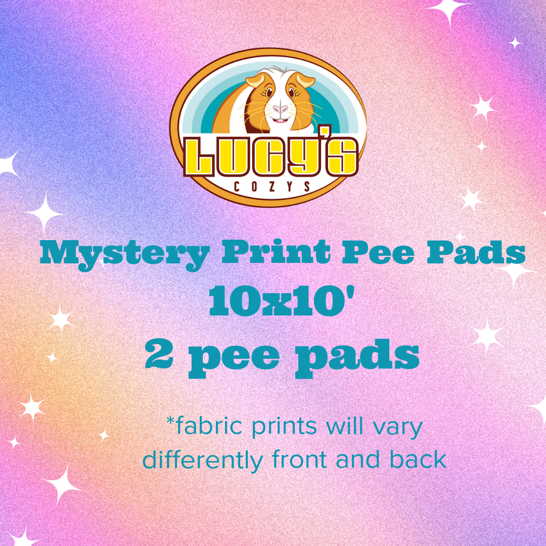 Pee Pads ~ Mystery Fabric Print