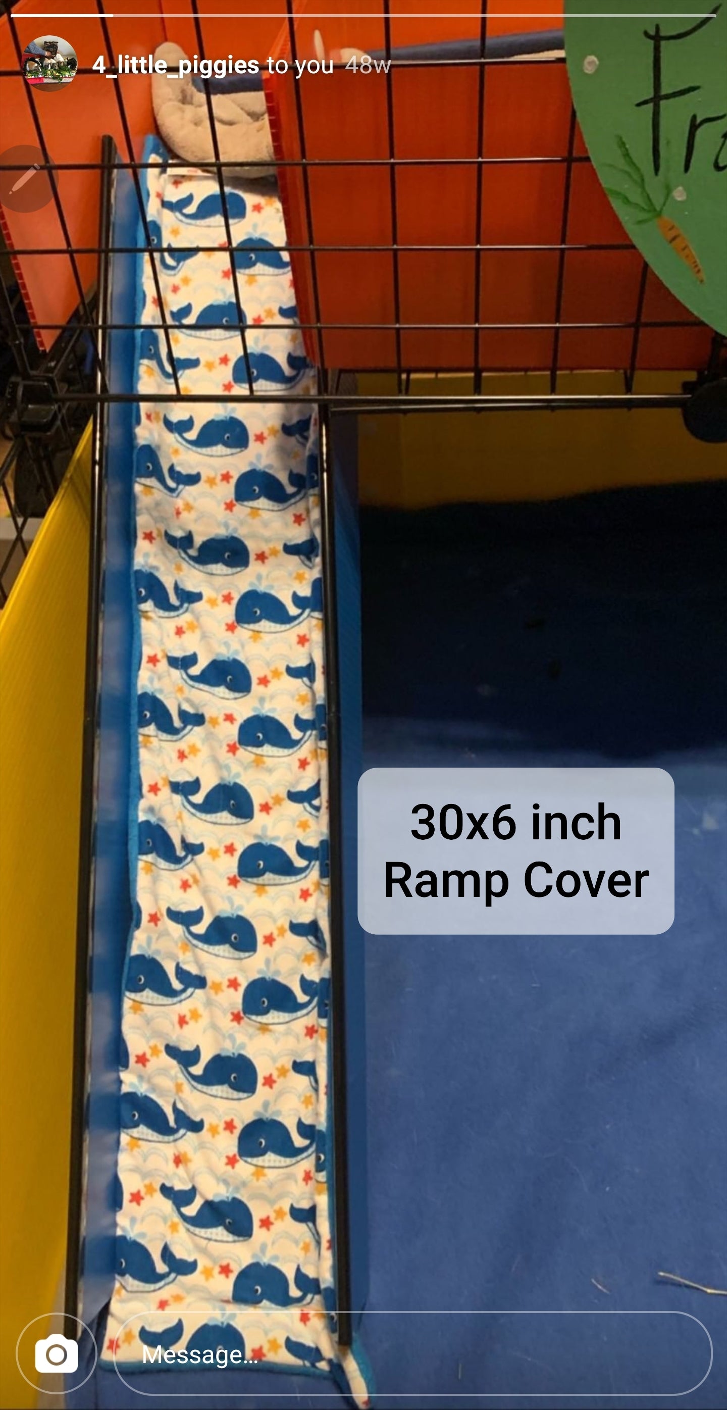 Ramp Covers - Mystery Print